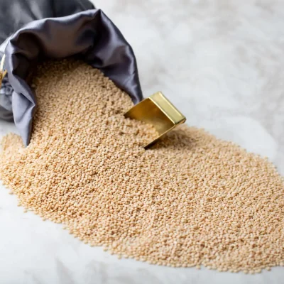 Premium Sesame Seeds – Natural White Sesame Seeds in Dubai UAE