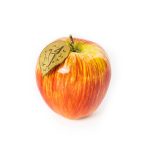 Ceramic Decorative Hand Painted Apple "Hob"