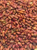 Kernel Pistachio Salty