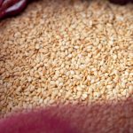 SESAME SEED